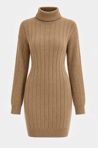 Libby Ribbed Knit Turtleneck Mini Dress