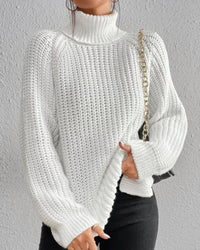 Tahnee Chunky Knit Turtleneck Sweater