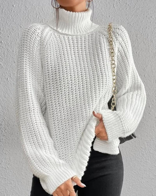 Tahnee Chunky Knit Turtleneck Sweater_1