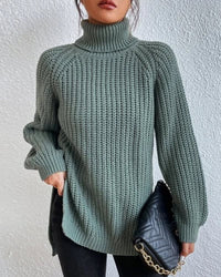 Tahnee Chunky Knit Turtleneck Sweater