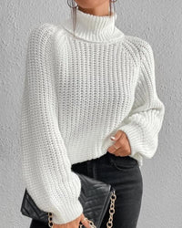 Tahnee Chunky Knit Turtleneck Sweater