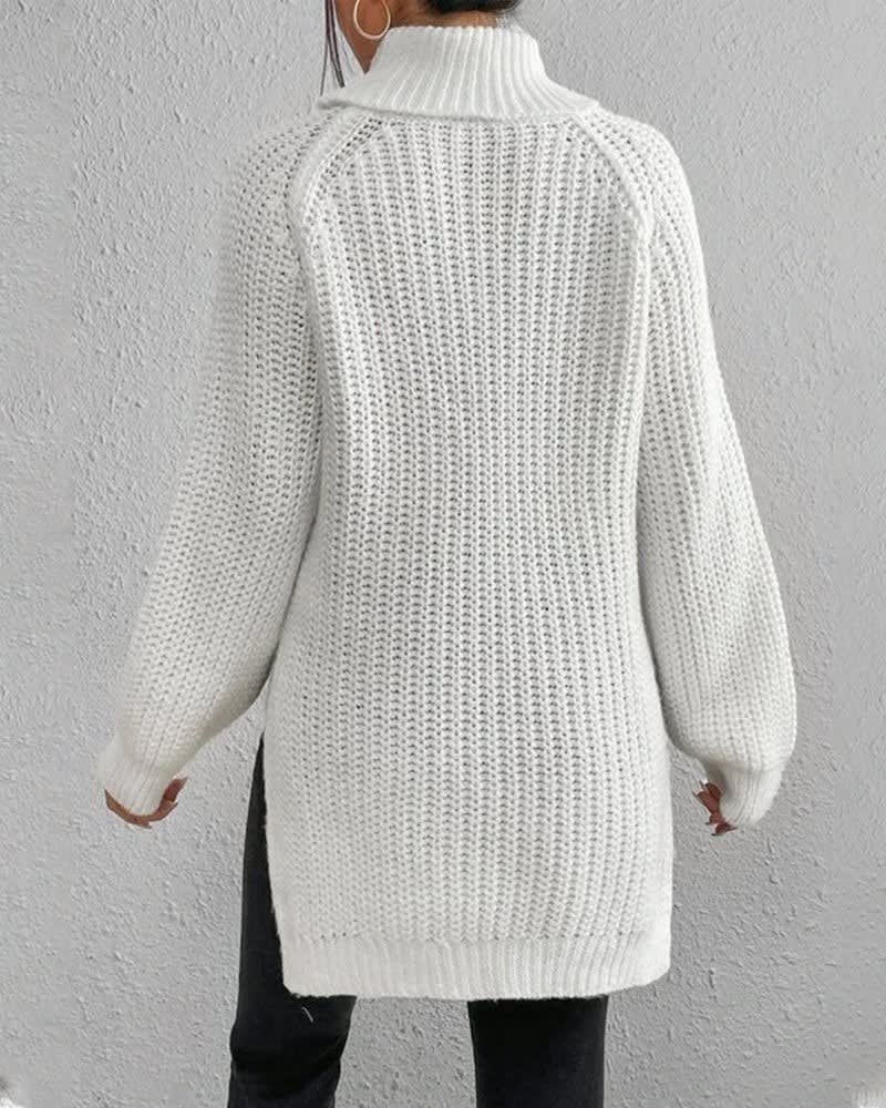 Tahnee Chunky Knit Turtleneck Sweater_3