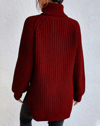 Tahnee Chunky Knit Turtleneck Sweater
