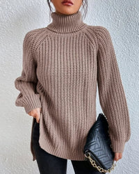 Tahnee Chunky Knit Turtleneck Sweater