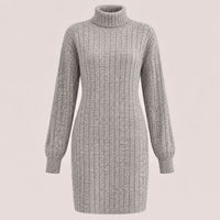 Kathryn Ribbed Turtleneck Mini Dress