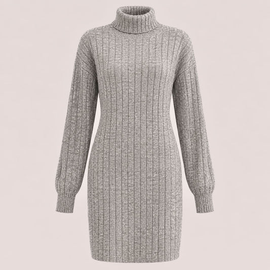 Kathryn Ribbed Turtleneck Mini Dress_1