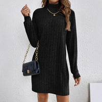 Kathryn Ribbed Turtleneck Mini Dress