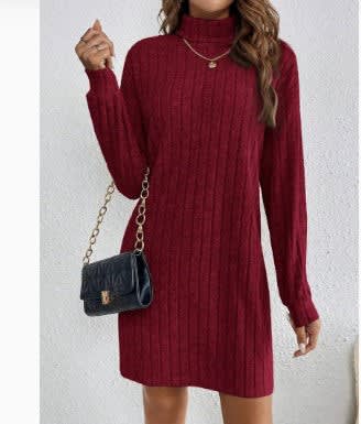 Kathryn Ribbed Turtleneck Mini Dress_7