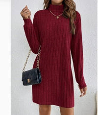 Kathryn Ribbed Turtleneck Mini Dress