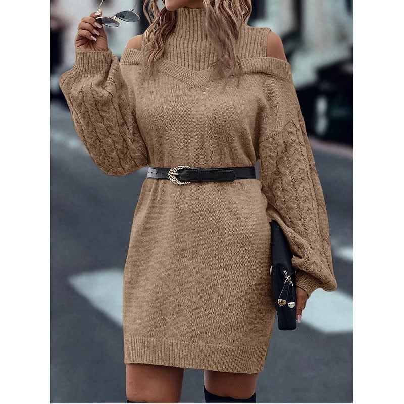 Karen Cold Shoulder Turtleneck Sweater Dress_4