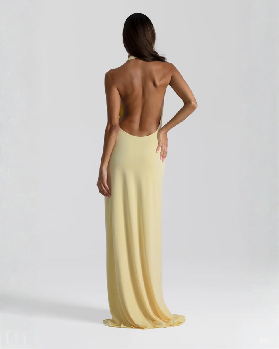Merryn Halter Neck Backless Maxi Dress_2