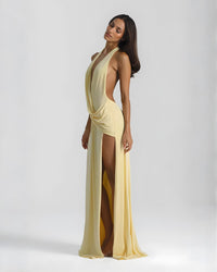 Merryn Halter Neck Backless Maxi Dress