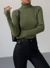 Aurelia Ribbed Turtleneck Sweater