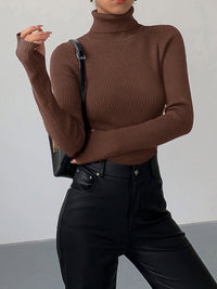 Aurelia Ribbed Turtleneck Sweater