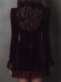 Tindra Velvet Lace Cocktail Mini Dress