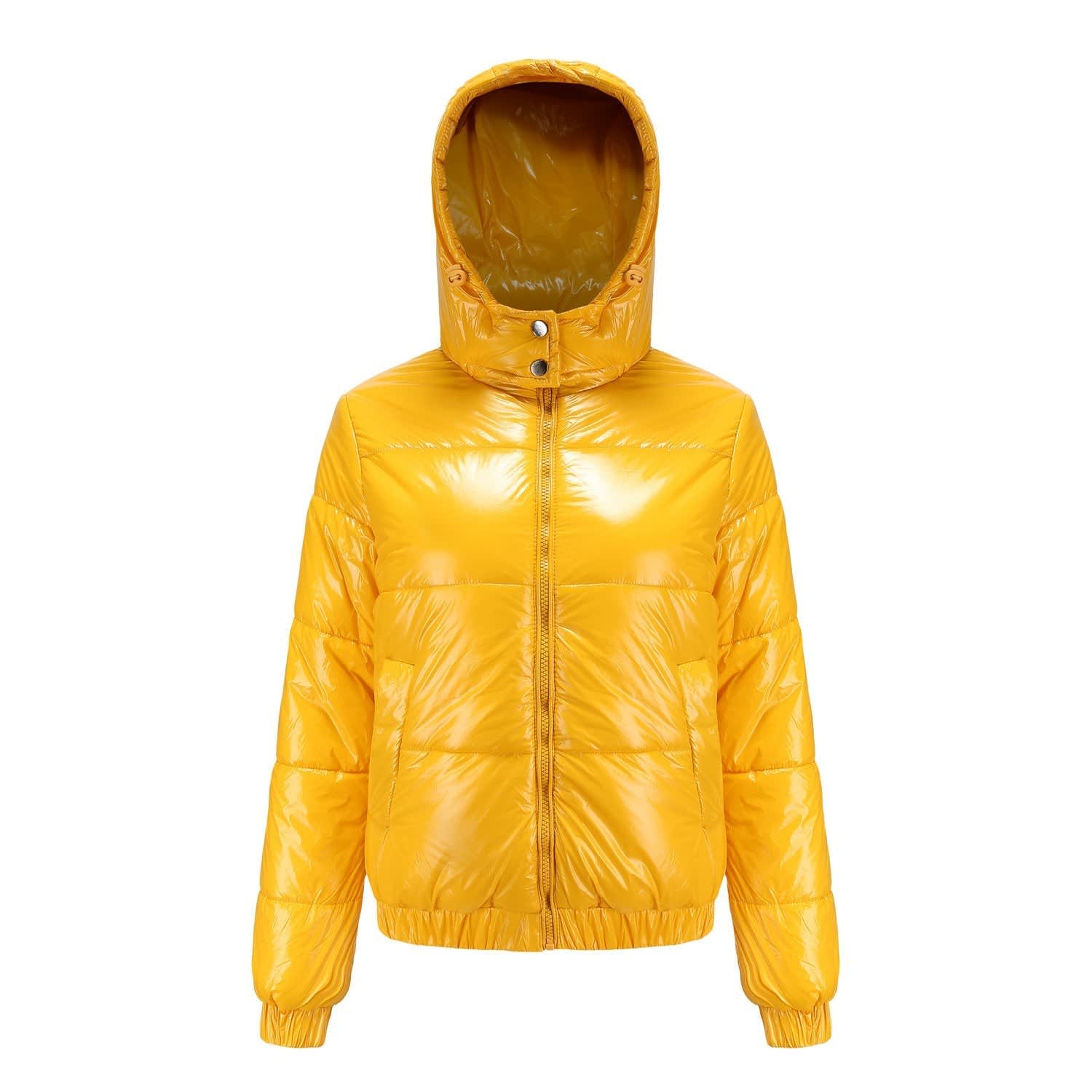 Lani High Shine Hooded Puffer Jacket