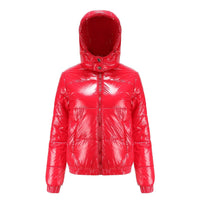 Lani High Shine Hooded Puffer Jacket